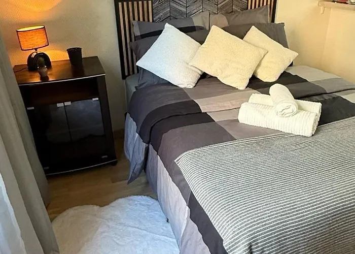 Διαμέρισμα Comfortable A Proximite De Porte Versaille , Paris Vanves