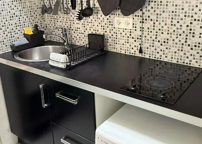 Διαμέρισμα Comfortable A Proximite De Porte Versaille , Paris Vanves